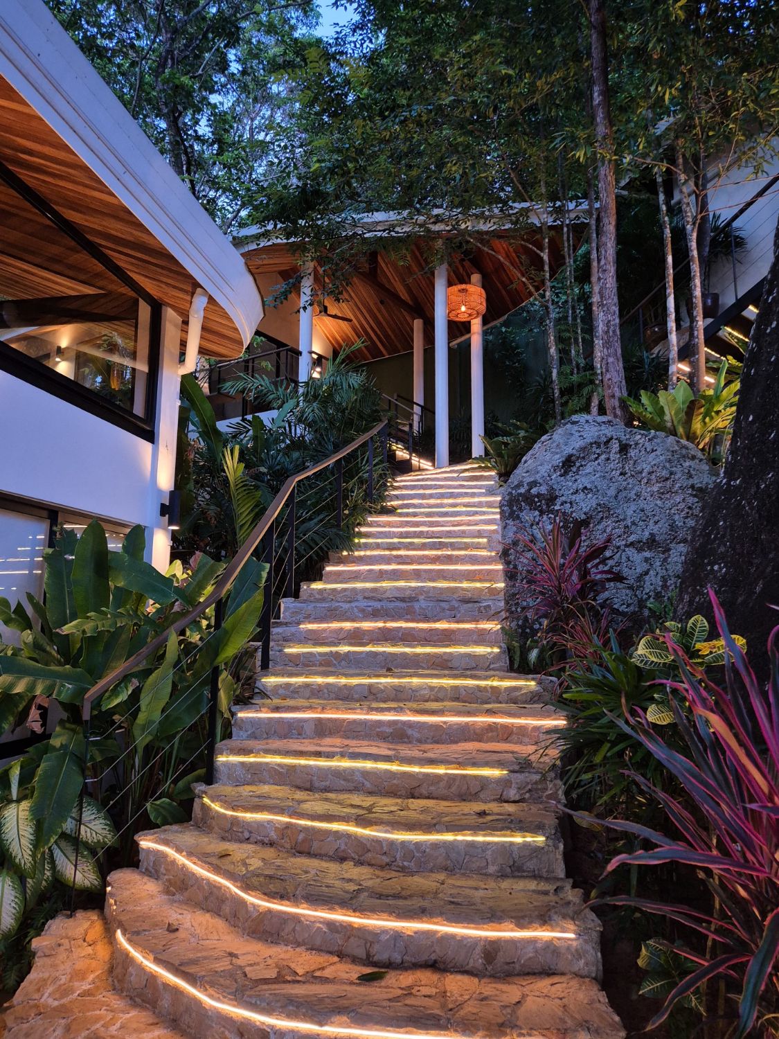 Stone steps lit along their edges at dusk, climbing between planting and a granite boulder to the main pavilion