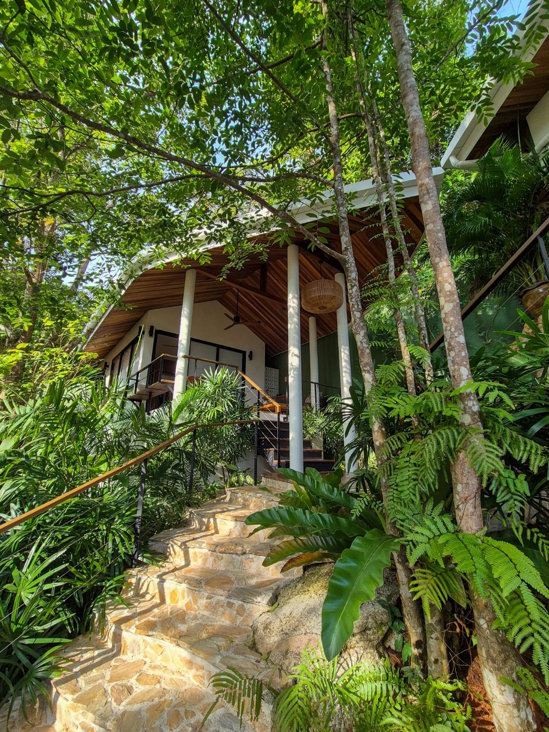 Stone steps climbing through ferns, palms and dense planting to one of the villa's buildings