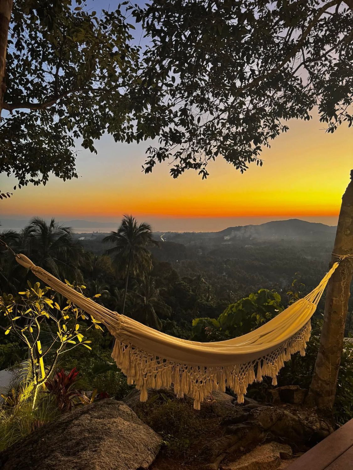 A woven hammock strung between trees at the edge of the slope, looking west over the island as the sun sets